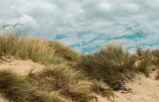 camber sands